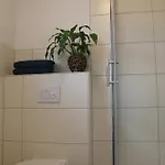 Koenig 3*