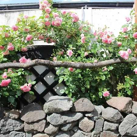 Koenig Vendégház Kassel