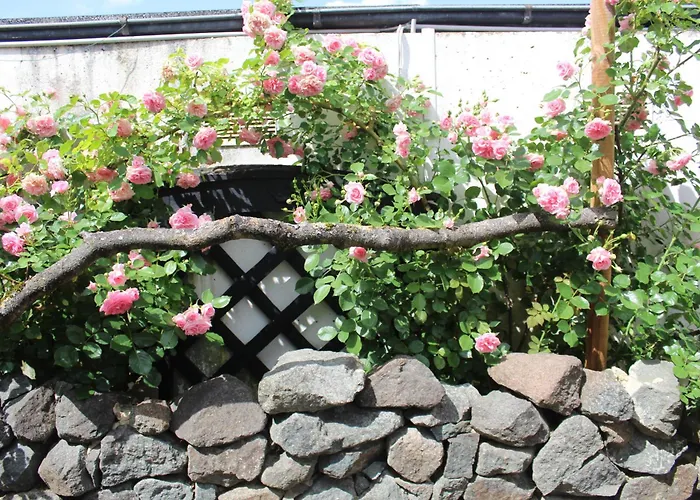 Koenig Vendégház Kassel